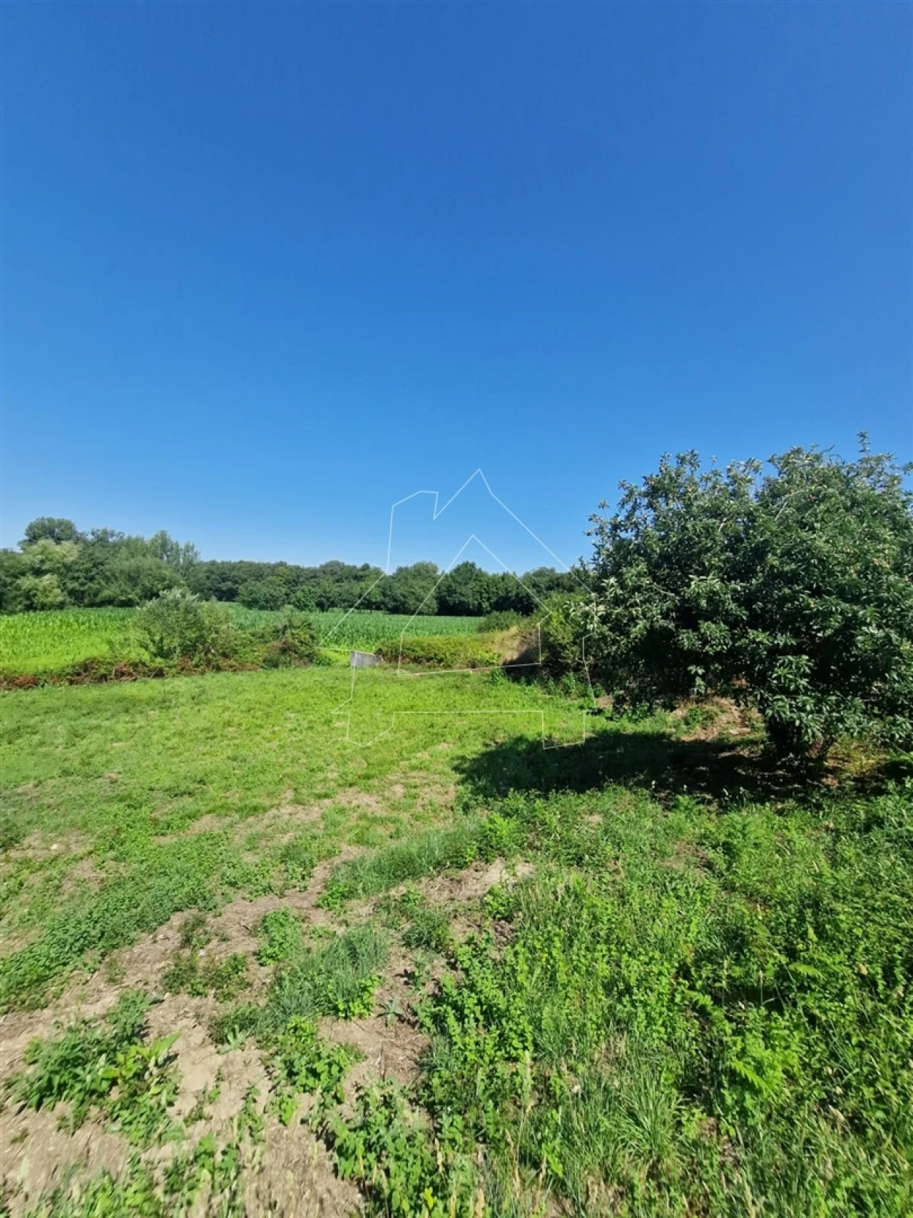 Terreno para Venda em Valega Foto 5
