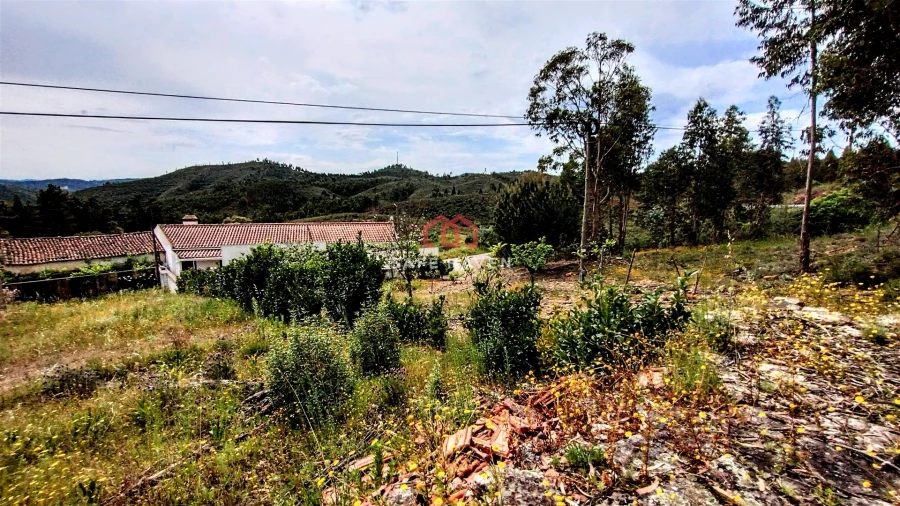 Moradia T3 para Venda em Vila de Rei Foto 23