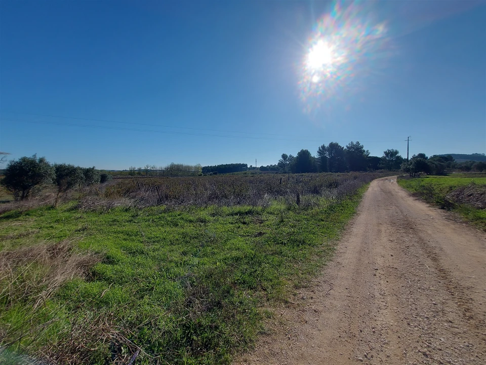 Terreno Agricola ou Rústico para Venda em Abrigada e Cabanas de Torres Foto 4