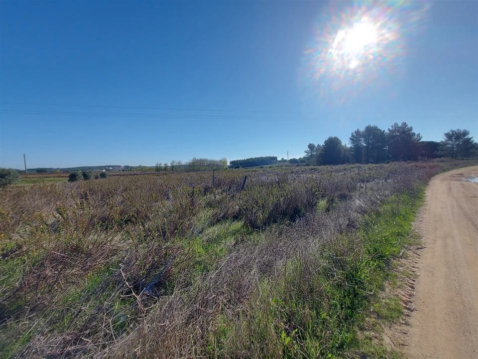 Terreno Agricola ou Rústico para Venda em Abrigada e Cabanas de Torres Foto 5