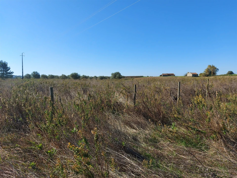 Terreno Agricola ou Rústico para Venda em Abrigada e Cabanas de Torres Foto 25