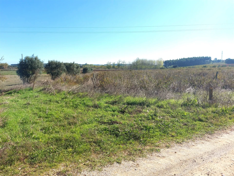Terreno Agricola ou Rústico para Venda em Abrigada e Cabanas de Torres Foto 13
