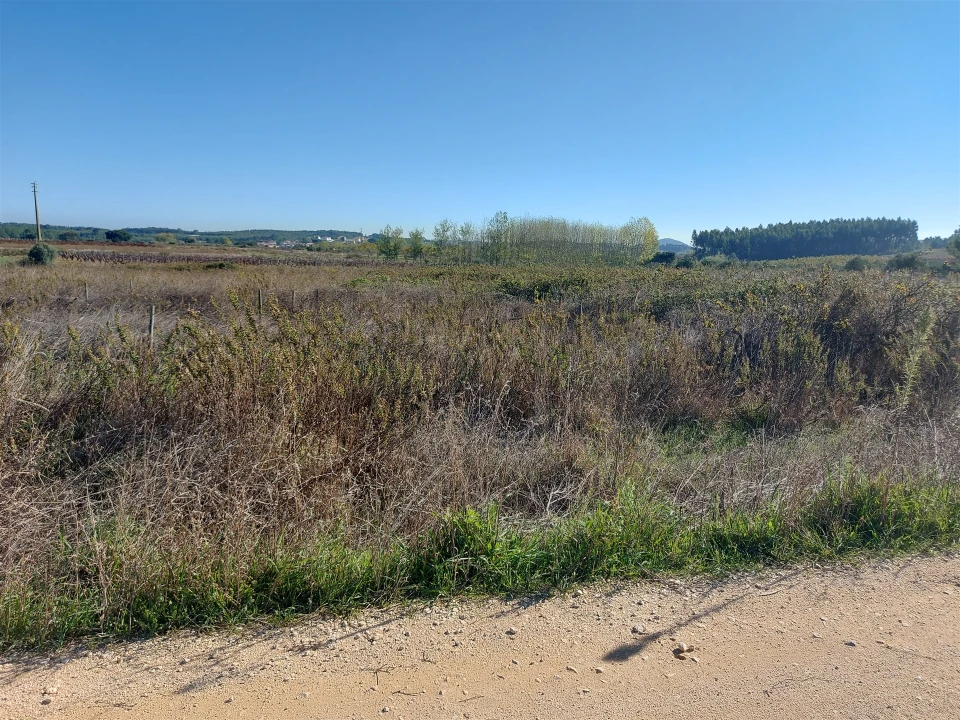 Terreno Agricola ou Rústico para Venda em Abrigada e Cabanas de Torres Foto 10