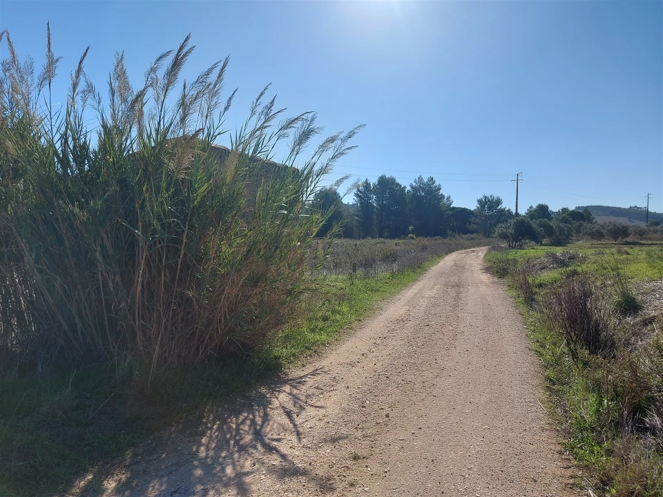 Terreno Agricola ou Rústico para Venda em Abrigada e Cabanas de Torres Foto 26