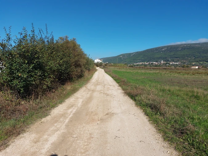 Terreno Agricola ou Rústico para Venda em Abrigada e Cabanas de Torres Foto 27