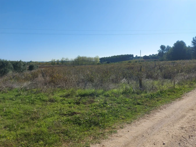 Terreno Agricola ou Rústico para Venda em Abrigada e Cabanas de Torres Foto 17