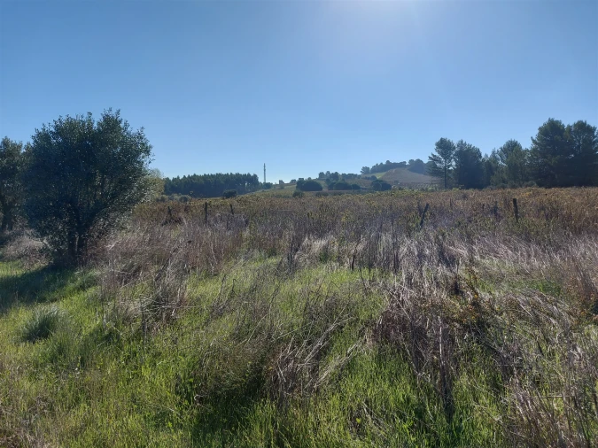 Terreno Agricola ou Rústico para Venda em Abrigada e Cabanas de Torres Foto 24