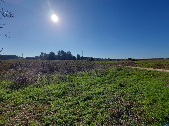 Terreno Agricola ou Rústico para Venda em Abrigada e Cabanas de Torres Foto 21