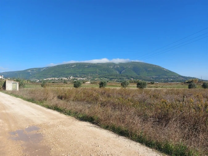 Terreno Agricola ou Rústico para Venda em Abrigada e Cabanas de Torres Foto 9