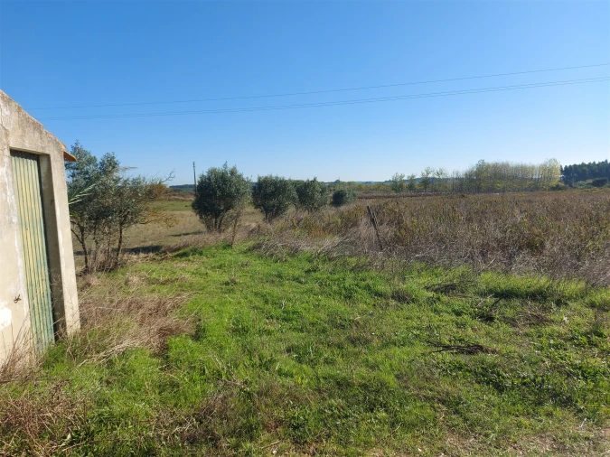 Terreno Agricola ou Rústico para Venda em Abrigada e Cabanas de Torres Foto 16
