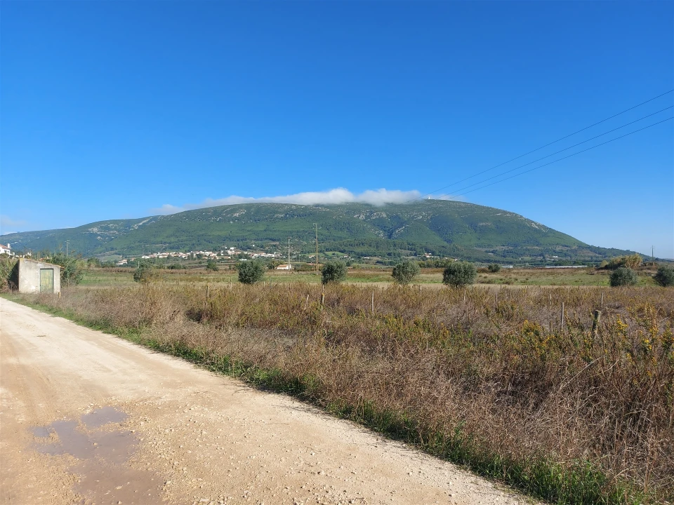 Terreno Agricola ou Rústico para Venda em Abrigada e Cabanas de Torres Foto 9
