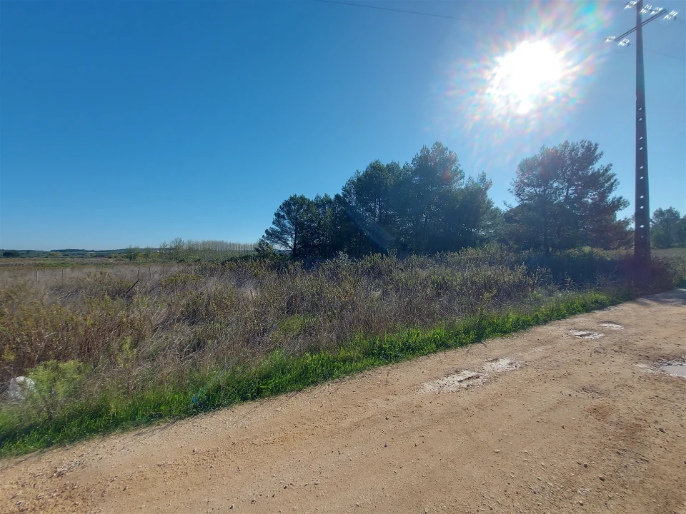 Terreno Agricola ou Rústico para Venda em Abrigada e Cabanas de Torres Foto 6