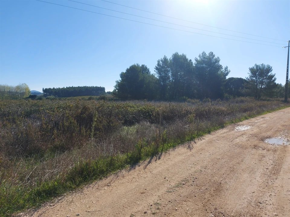Terreno Agricola ou Rústico para Venda em Abrigada e Cabanas de Torres Foto 11