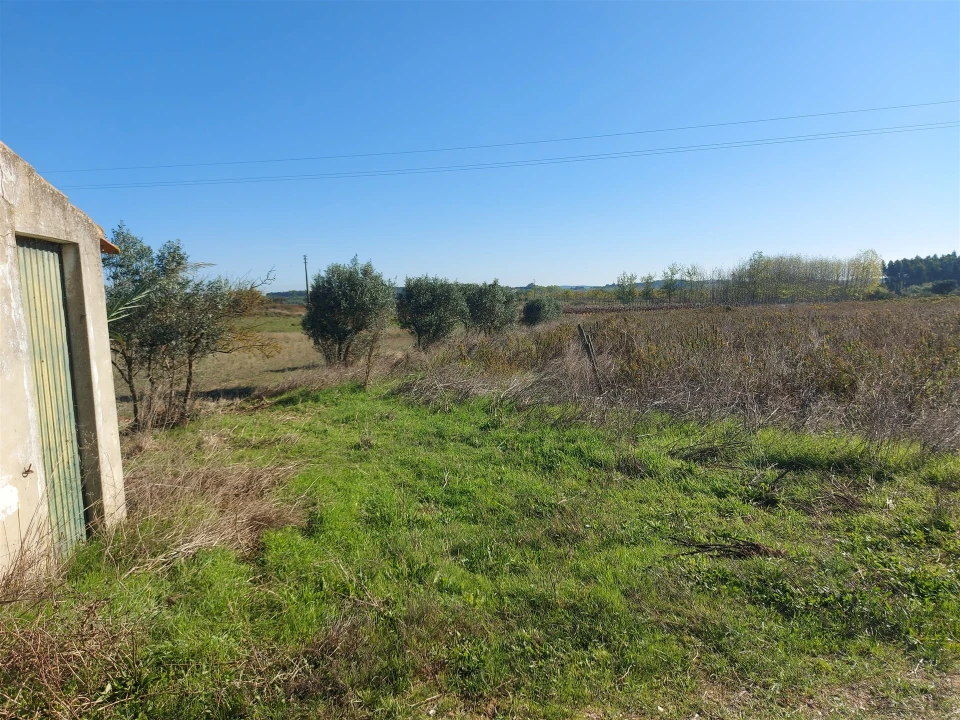 Terreno Agricola ou Rústico para Venda em Abrigada e Cabanas de Torres Foto 16