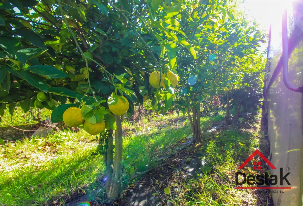 Terreno para Venda em São Miguel do Mato Foto 12