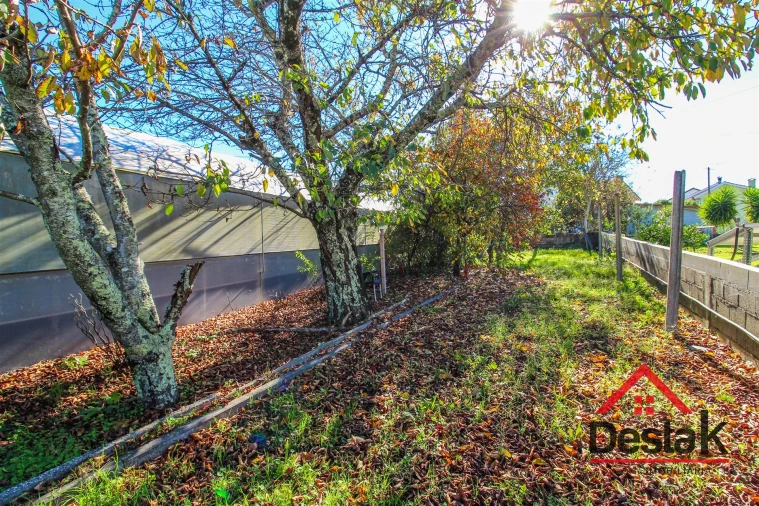 Terreno para Venda em São Miguel do Mato Foto 7