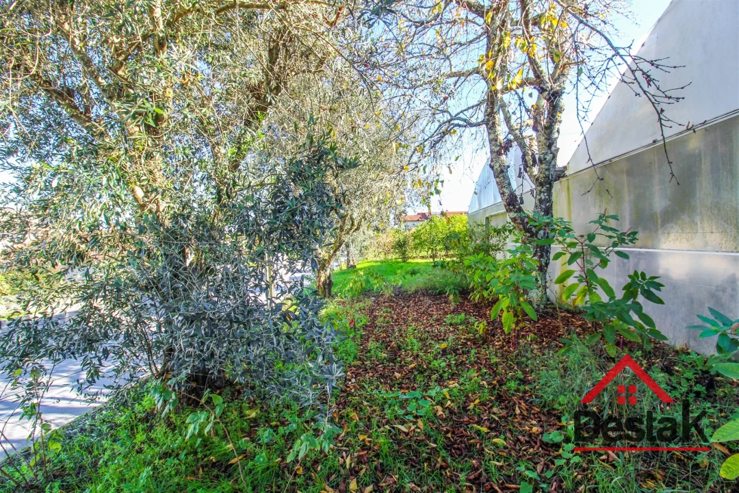 Terreno para Venda em São Miguel do Mato Foto 11