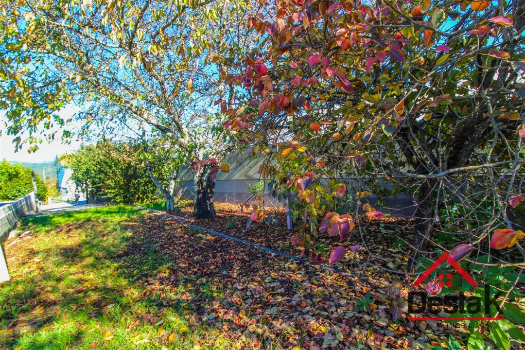 Terreno para Venda em São Miguel do Mato Foto 9