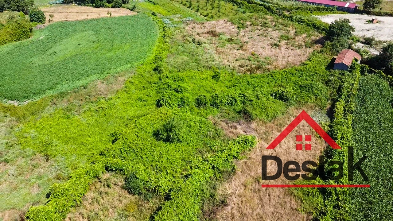 Terreno Agricola ou Rústico para Venda em Oliveira de Frades, Souto de Lafões e Sejães Foto 7