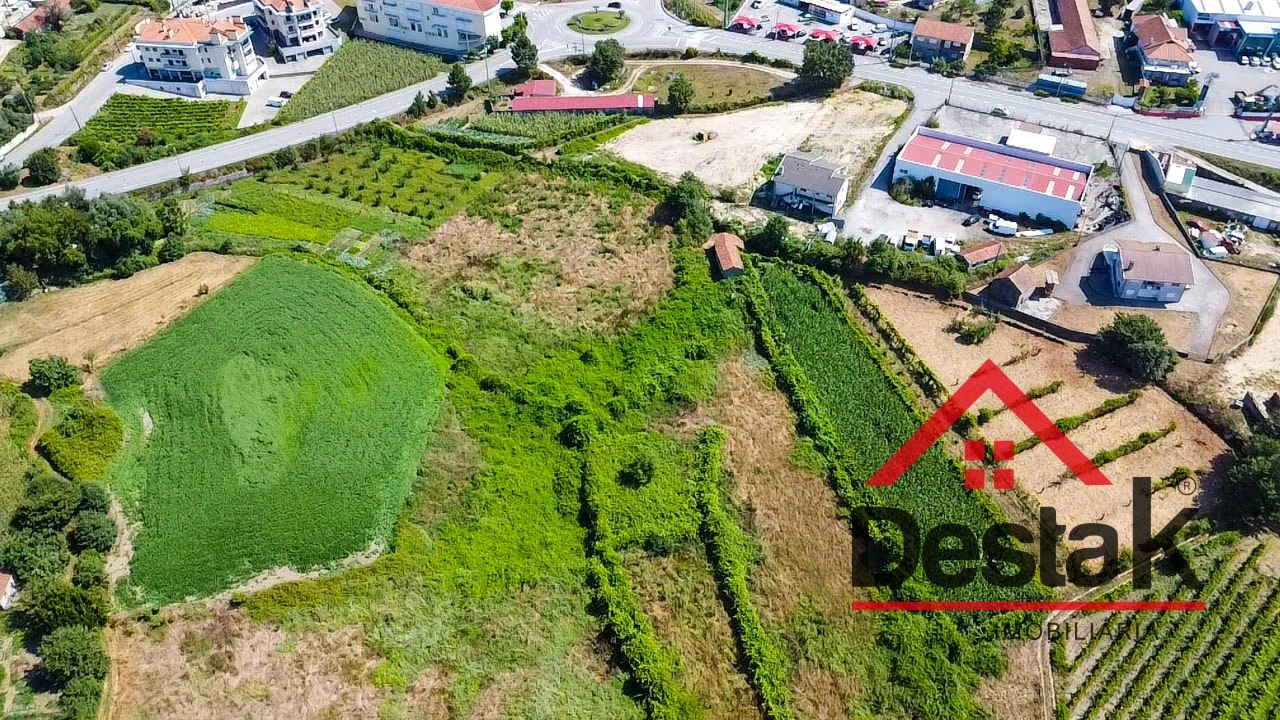 Terreno Agricola ou Rústico para Venda em Oliveira de Frades, Souto de Lafões e Sejães Foto 3