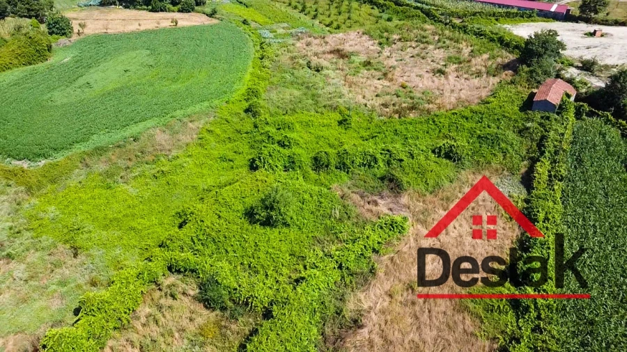 Terreno Agricola ou Rústico para Venda em Oliveira de Frades, Souto de Lafões e Sejães Foto 7