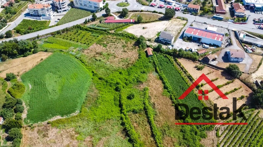 Terreno Agricola ou Rústico para Venda em Oliveira de Frades, Souto de Lafões e Sejães Foto 3