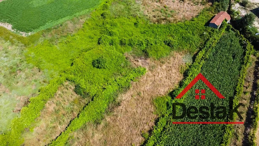 Terreno Agricola ou Rústico para Venda em Oliveira de Frades, Souto de Lafões e Sejães Foto 5