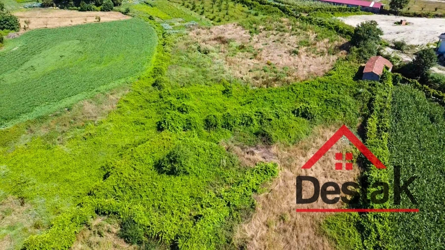 Terreno Agricola ou Rústico para Venda em Oliveira de Frades, Souto de Lafões e Sejães Foto 6