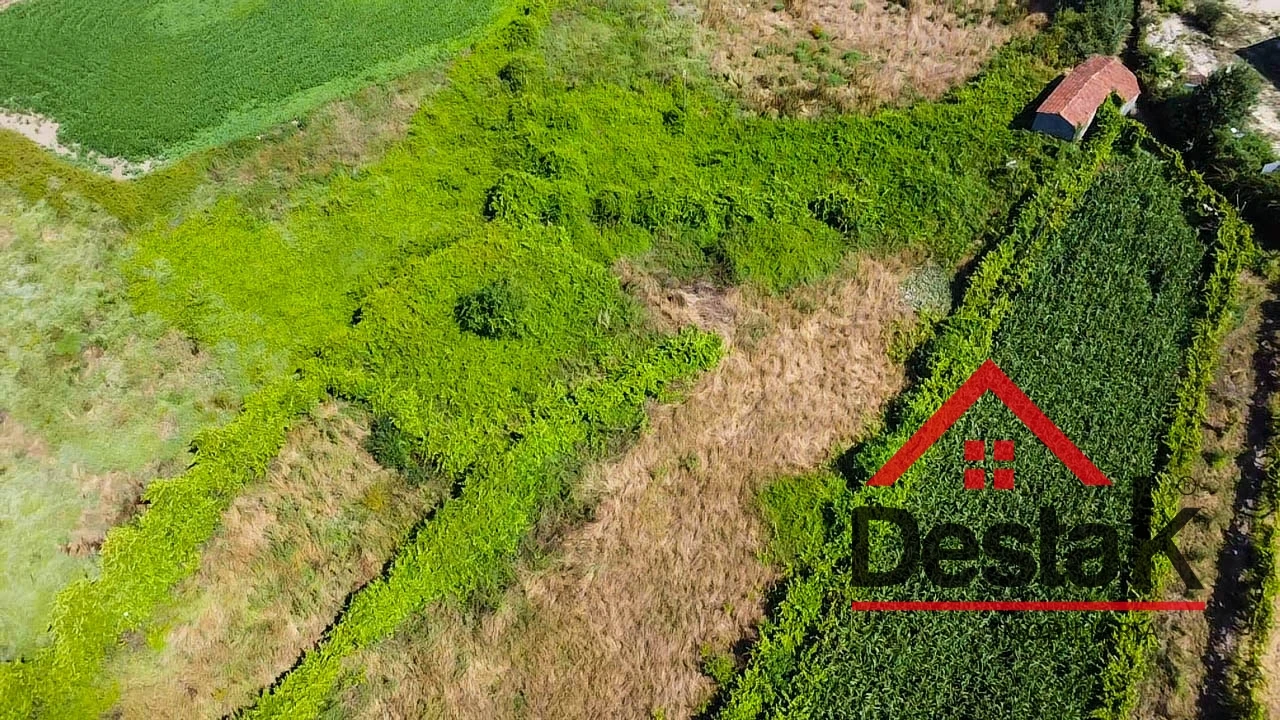 Terreno Agricola ou Rústico para Venda em Oliveira de Frades, Souto de Lafões e Sejães Foto 5