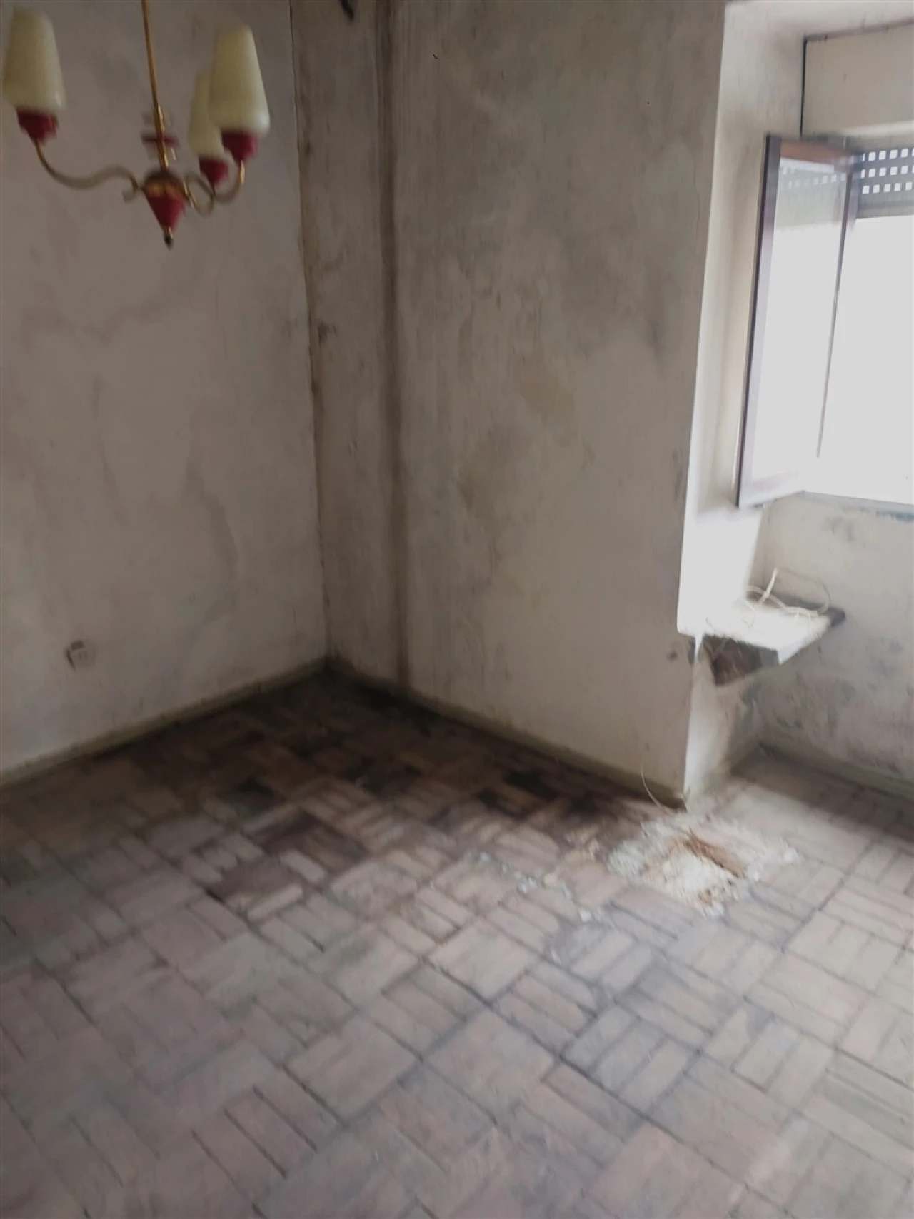 Moradia T1 para Venda em Sernancelhe e Sarzeda Foto 6