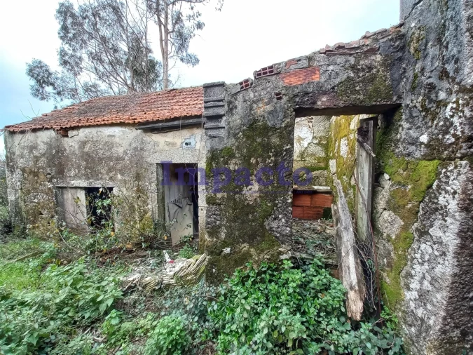 Moradia T3 para Venda em Escariz Foto 7