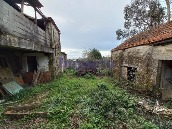 Moradia T3 para Venda em Escariz Foto 5