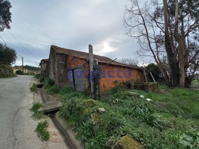 Moradia T3 para Venda em Escariz Foto 12