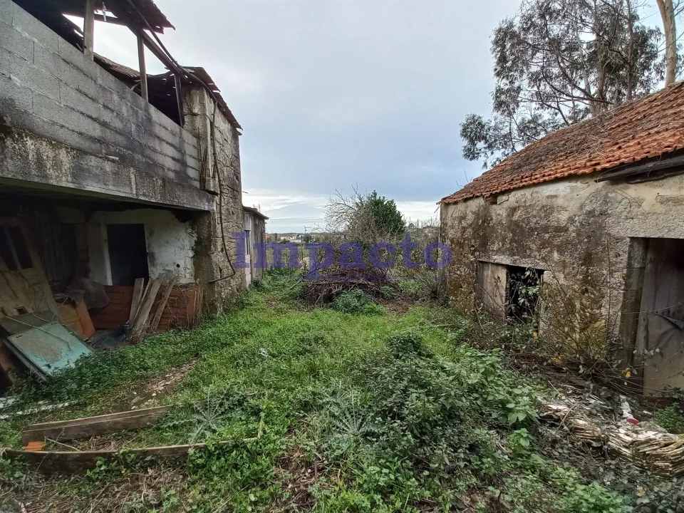 Moradia T3 para Venda em Escariz Foto 5