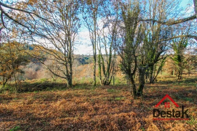 Terreno para Venda em São Pedro do Sul, Várzea e Baiões