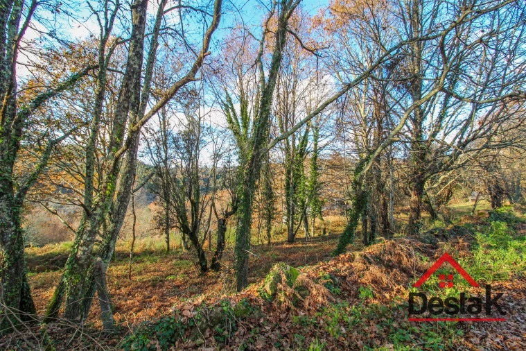 Terreno para Venda em São Pedro do Sul, Várzea e Baiões Foto 4