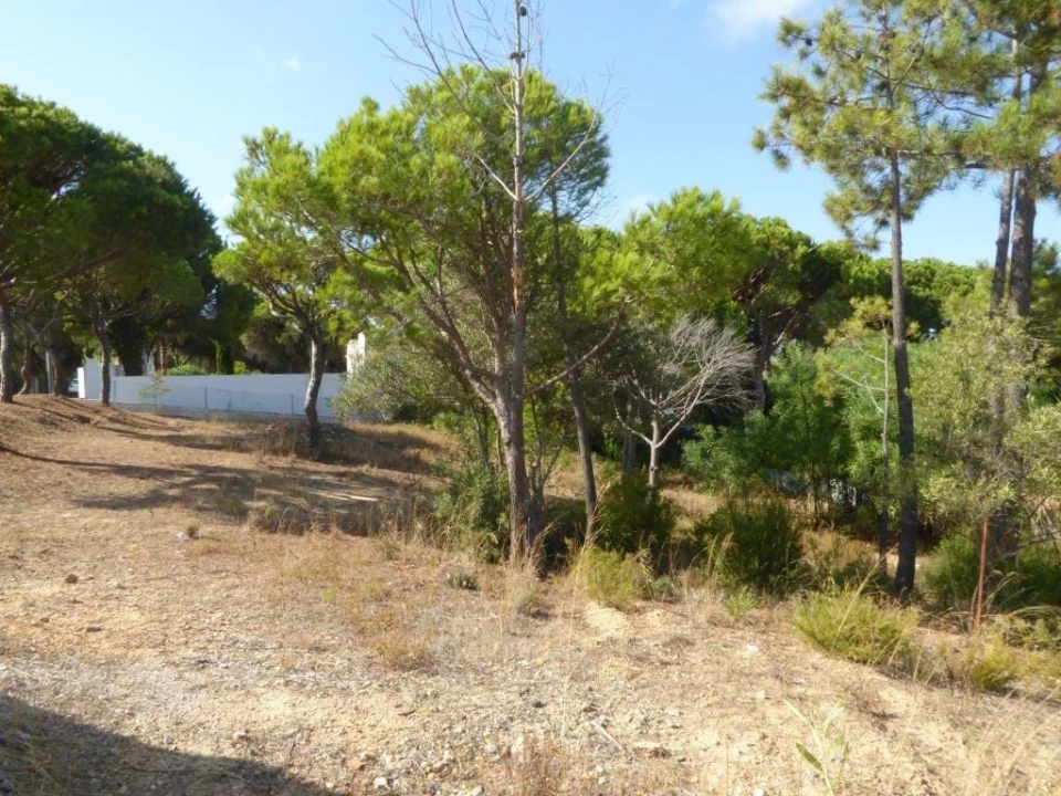 Terreno para Venda em Almancil Foto 4