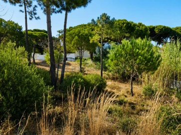 Terreno para Venda em Almancil