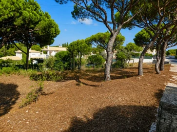 Terreno para Venda em Almancil