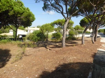 Terreno para Venda em Almancil