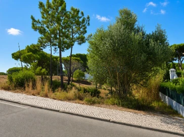 Terreno para Venda em Almancil