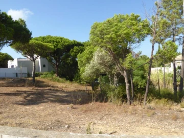 Terreno para Venda em Almancil
