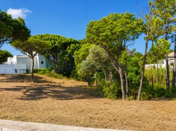 Terreno para Venda em Almancil