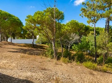 Terreno para Venda em Almancil
