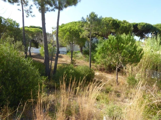 Terreno para Venda em Almancil Foto 3