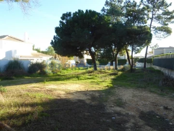 Terreno para Venda em Almancil