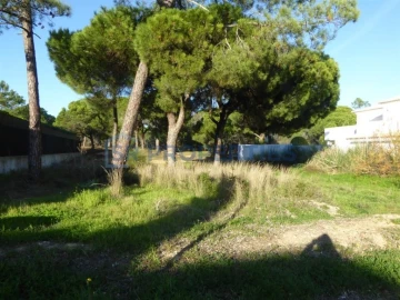 Terreno para Venda em Almancil