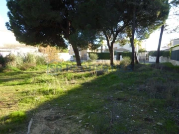 Terreno para Venda em Almancil