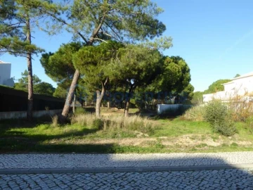 Terreno para Venda em Almancil