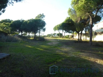 Terreno para Venda em Almancil